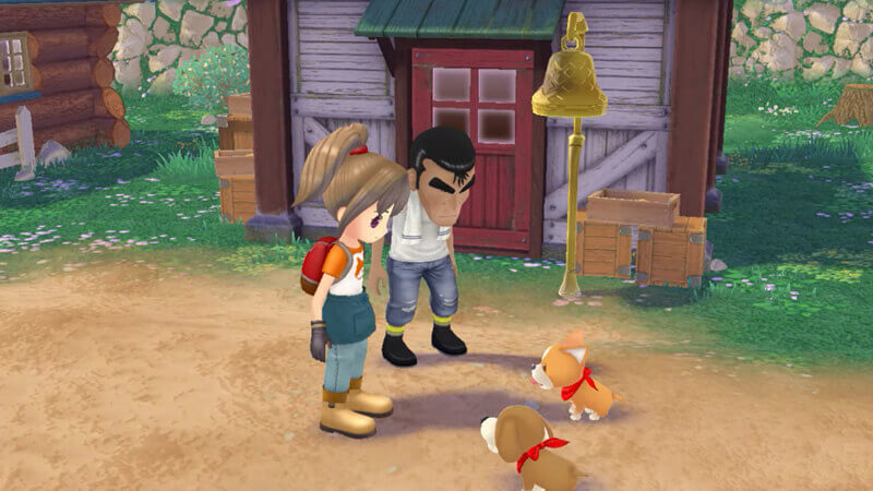 harvest-moon-a-wonderful-life-rom-combo